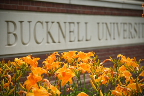 Zoom Background - Bucknell University