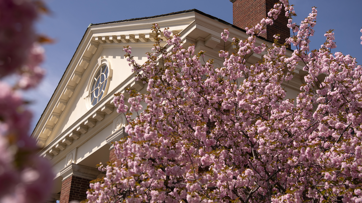 Mart Hall, Cherry trees
