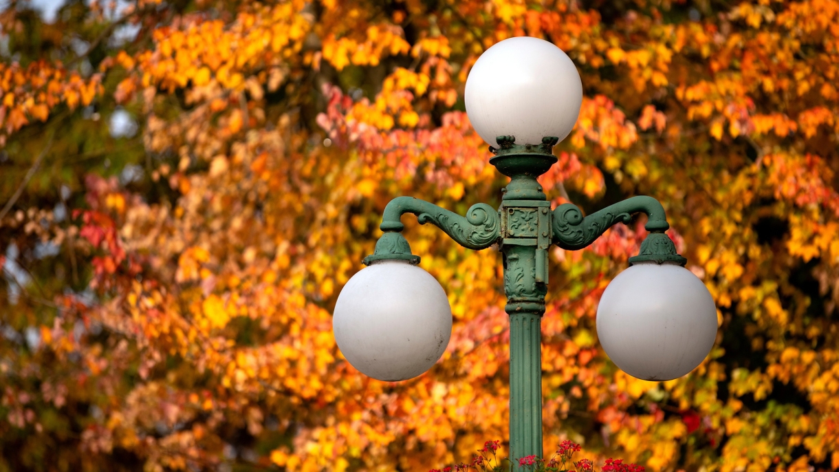 Lewisburg lampost in fall