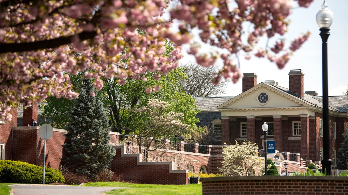 View of cherry blossoms and Coleman Hall