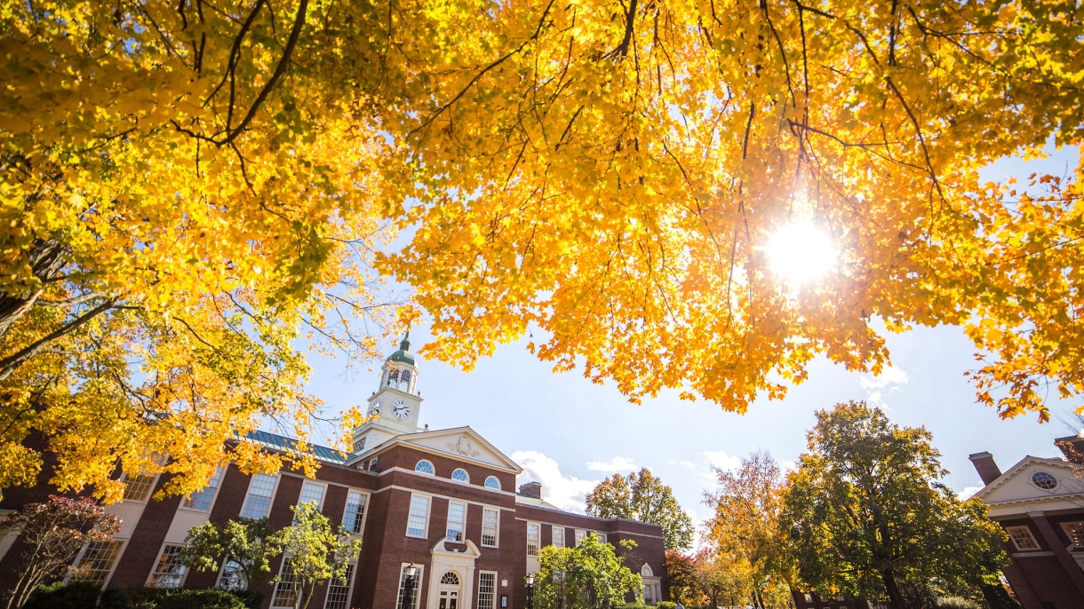 Bertrand Library framed by fall leaves