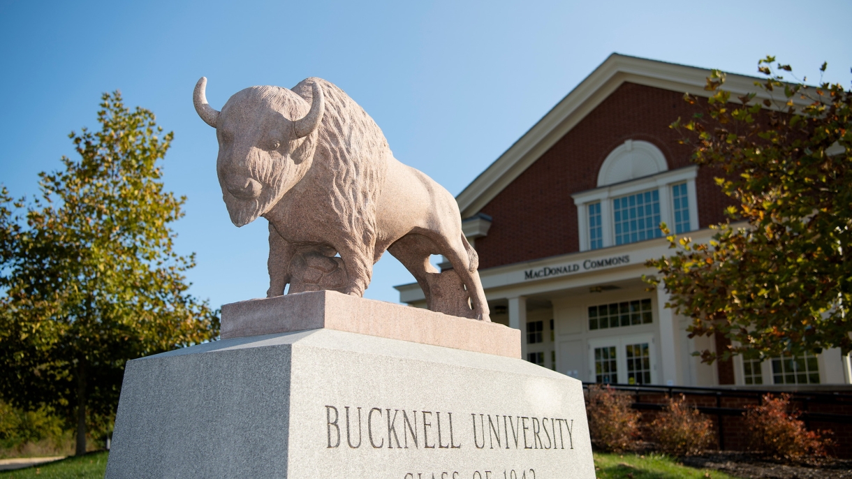 Bison statue in front MacDonald Commons.