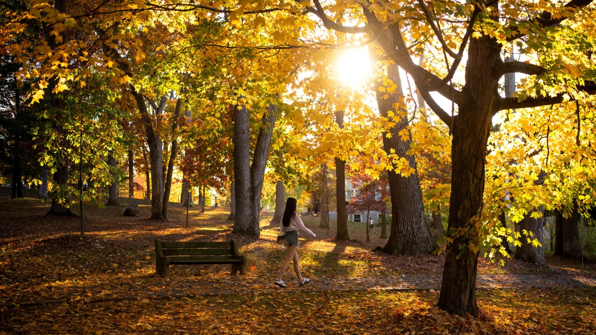 A student walks through The Grove in fall.