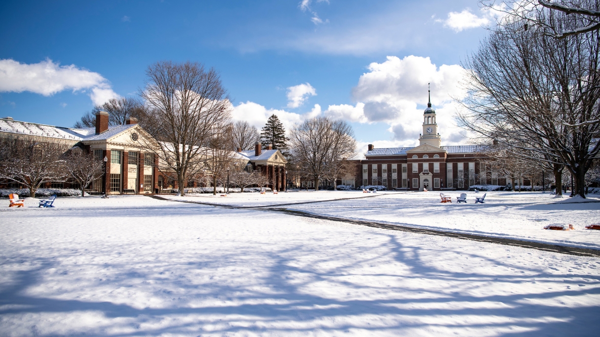 Snow covered quad