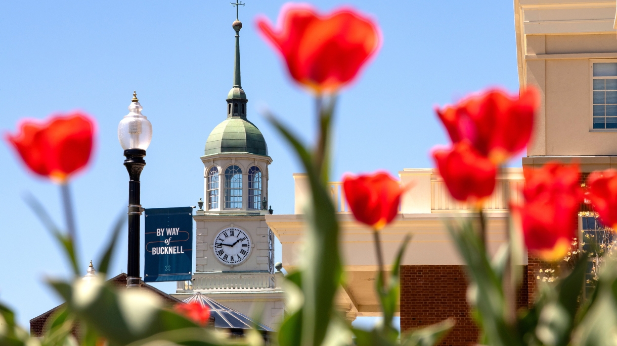 Bertrand Library framed by red tulips.
