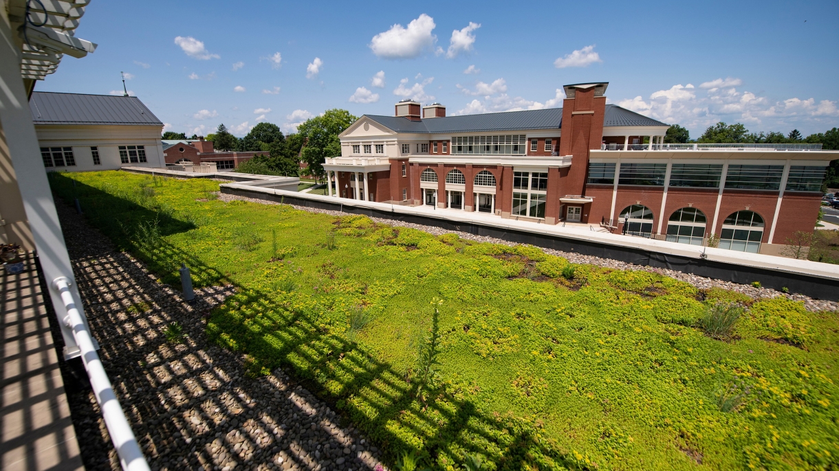 Green roof and view of Academic East