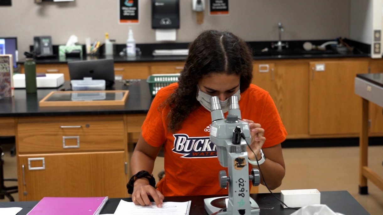 A Bucknell student works in a lab