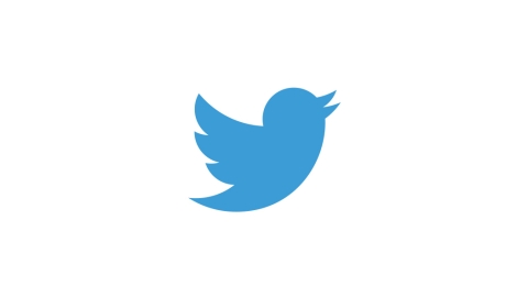 The blue Twitter logo