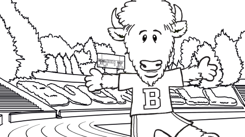 Bucky Stadium Coloring Sheet