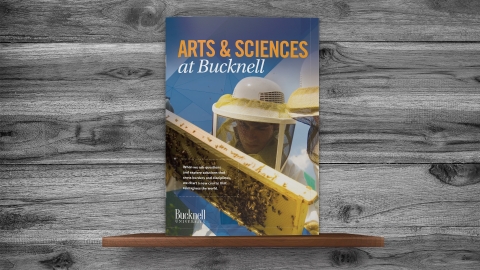 Arts &amp; Sciences Brochure