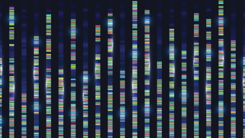 Genomic sequences visualization graph