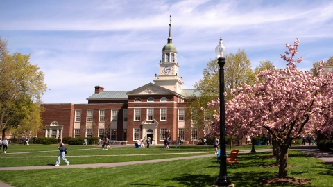 Bertrand Library is framed by cherry blossoms.