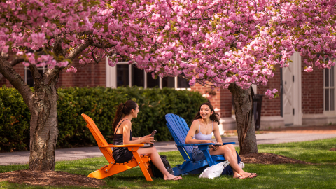 Students relaxing under the cherry blossoms on Bucknell's campus.