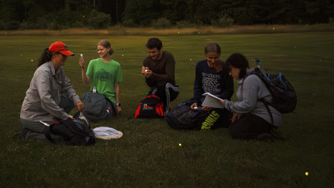 A professor and a group of students kneel in the grass at dusk with fireflies blinking around them.