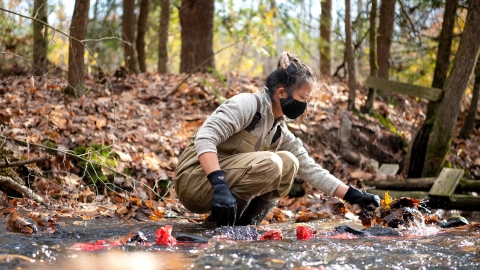 Student in a stream