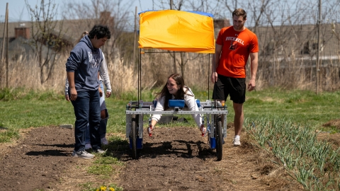 A student lies down, facing the ground, in a cart-like device that allows for planting and weeding of crops at the Farm. Three classmates walk along side the cart-like machine. 
