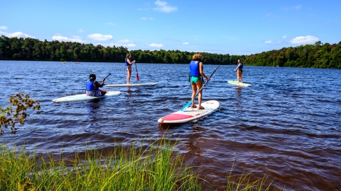 Students on paddle boards in a river. 