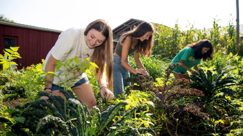 Students looking in some vegetation. 