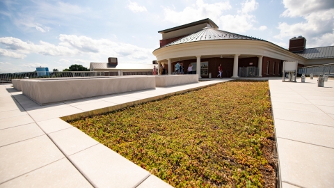 Academic East green roof