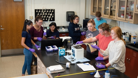 Students in engineering lab