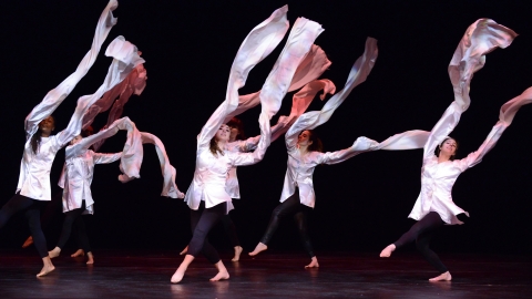 Chinese watersleeve dancers