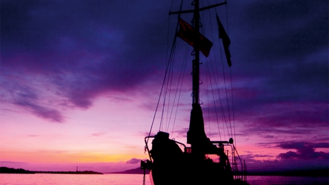 Captain Dwyer's Solo Voyage