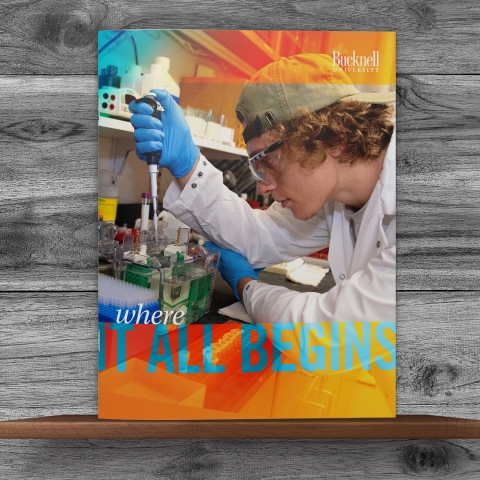 Preview Book