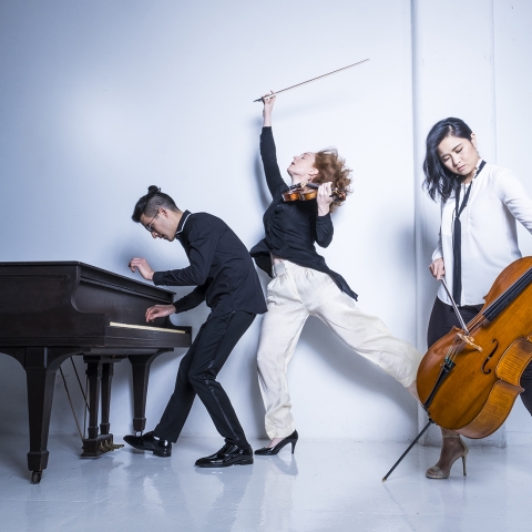Merz Trio