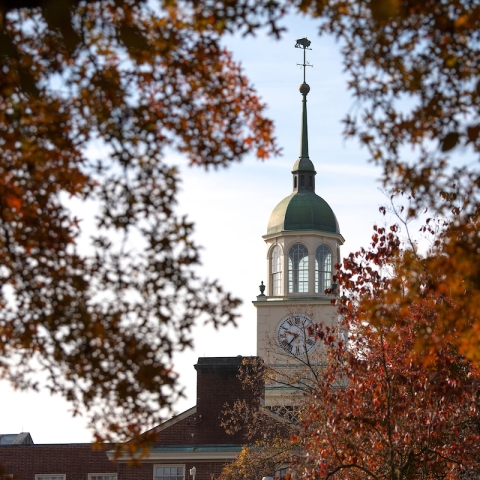 Bertrand clock tower behind fall leaves