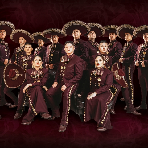 Mariachi Herencia de México