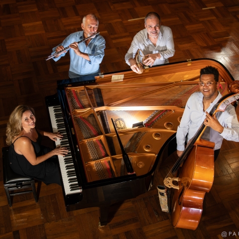 heloisa fernandes quartet