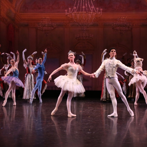houston ballet