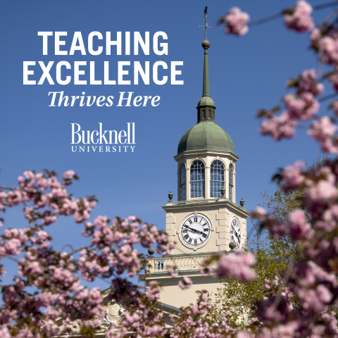 Teaching Excellence Thrives Here