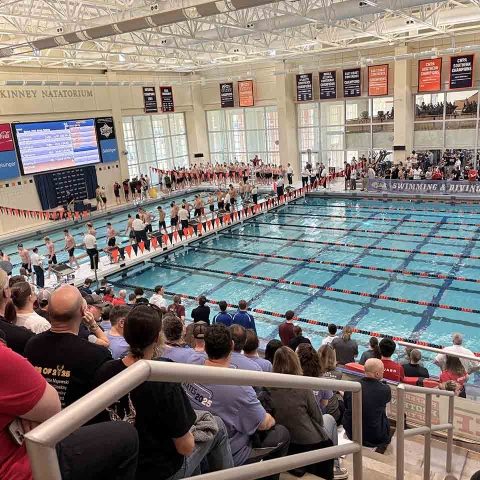 Watching a Swim Meet from the bleachers