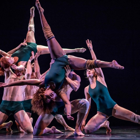 Weis 25 17 Pilobolus 