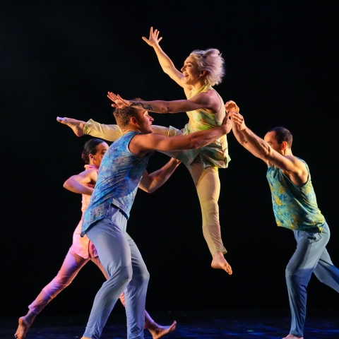 Pilobolus 