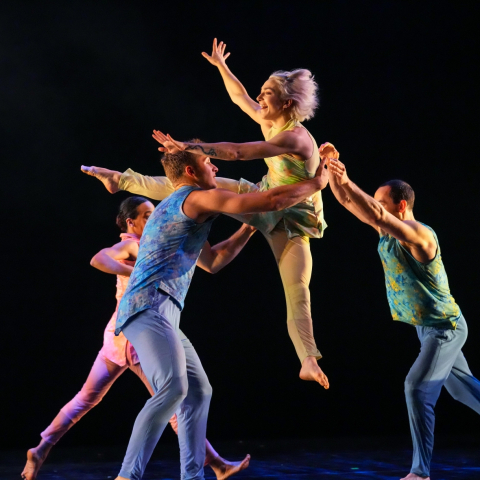 Weis 25 17 Pilobolus