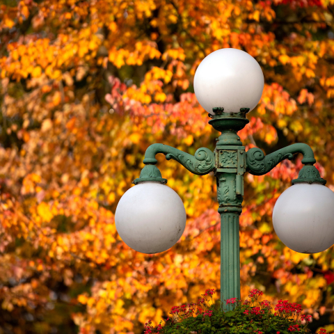 Lewisburg lampost in fall