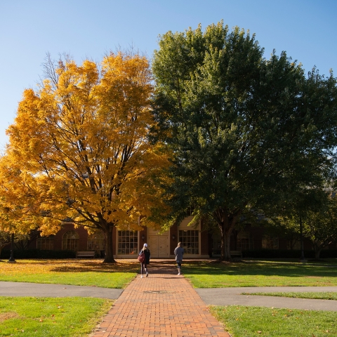 Malesardi Quad in the Fall