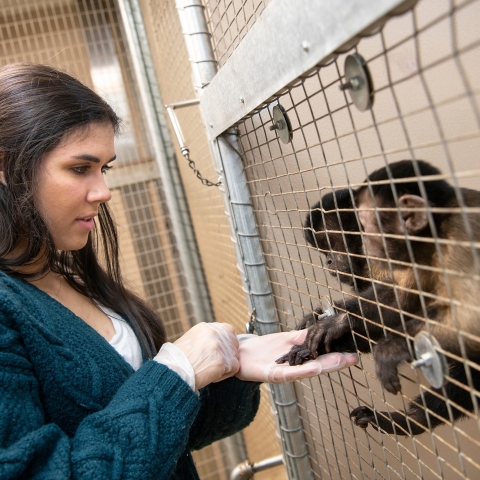 Animal Behavior Major at Bucknell