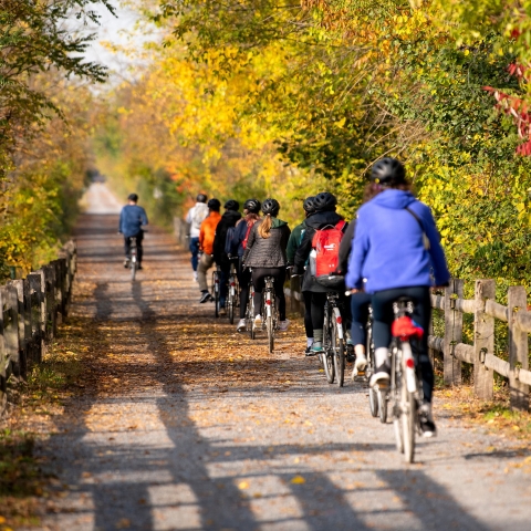 Biking the Rail Trail