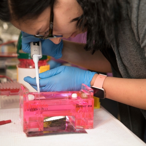 Student in biochemistry lab