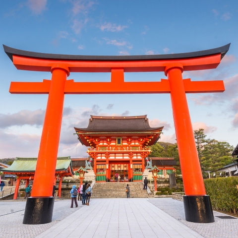 Torii gates in Japan