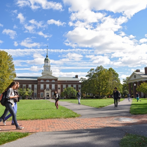 View of Malesardi Quad