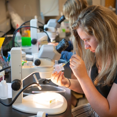 Research photo with students