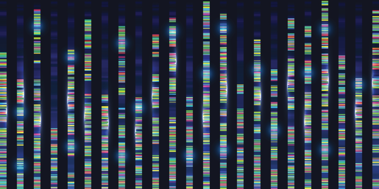 Genomic sequences visualization graph