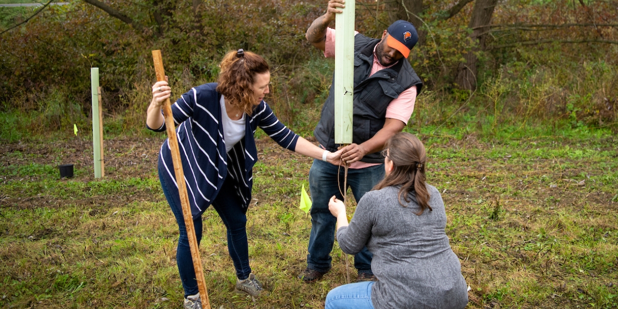 Three people plant a tree.