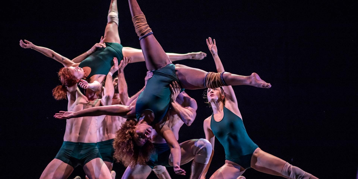 Weis 25 17 Pilobolus