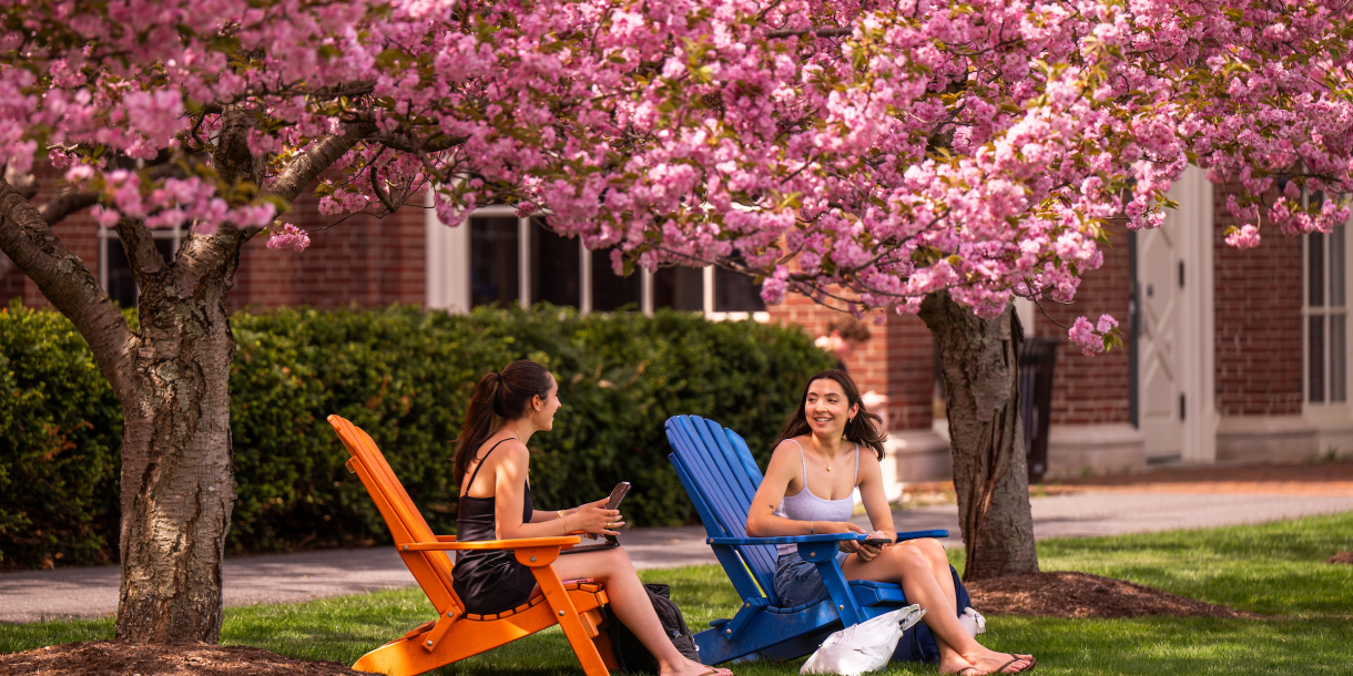 Students relaxing under the cherry blossoms on Bucknell's campus.