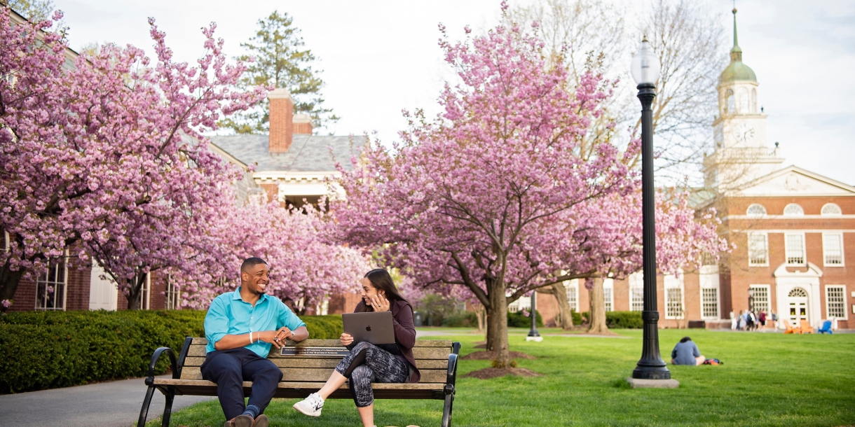 Students on a bench on the quad with cherry blossoms